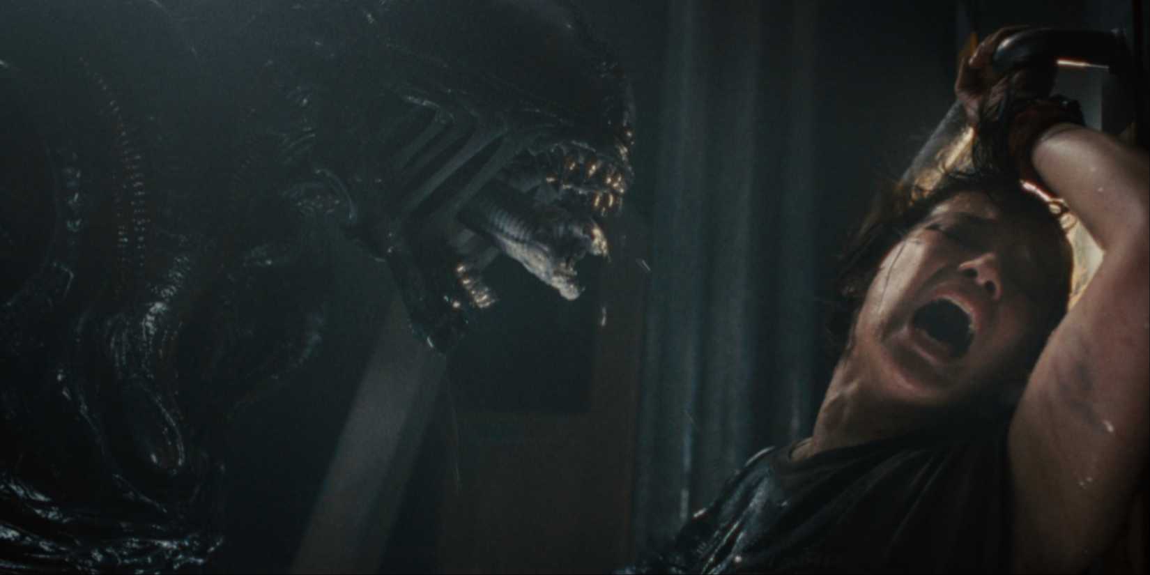 Best 2024 Horror Movies