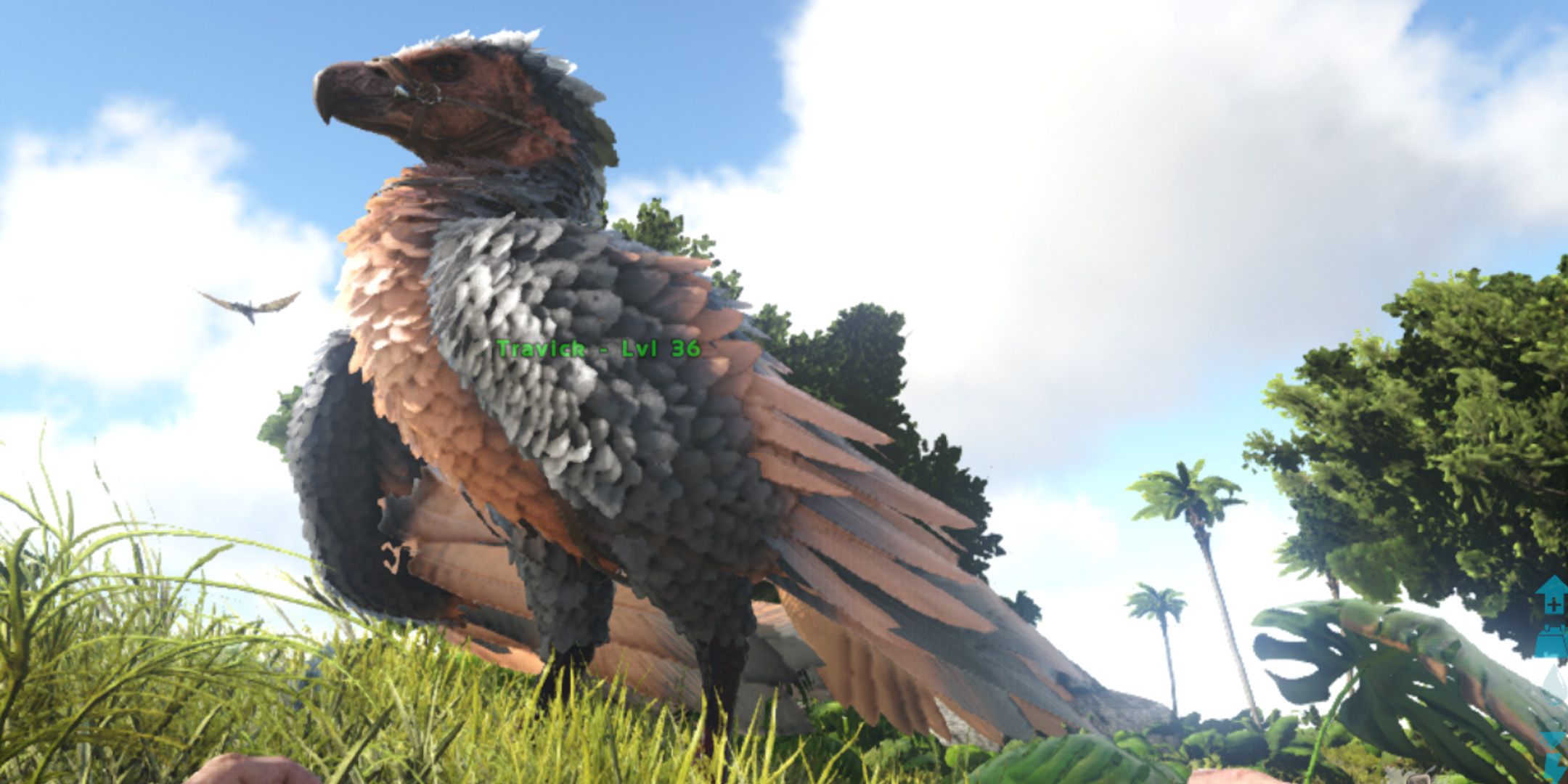 How To Tame An Argentavis In Ark: Survival Evolved