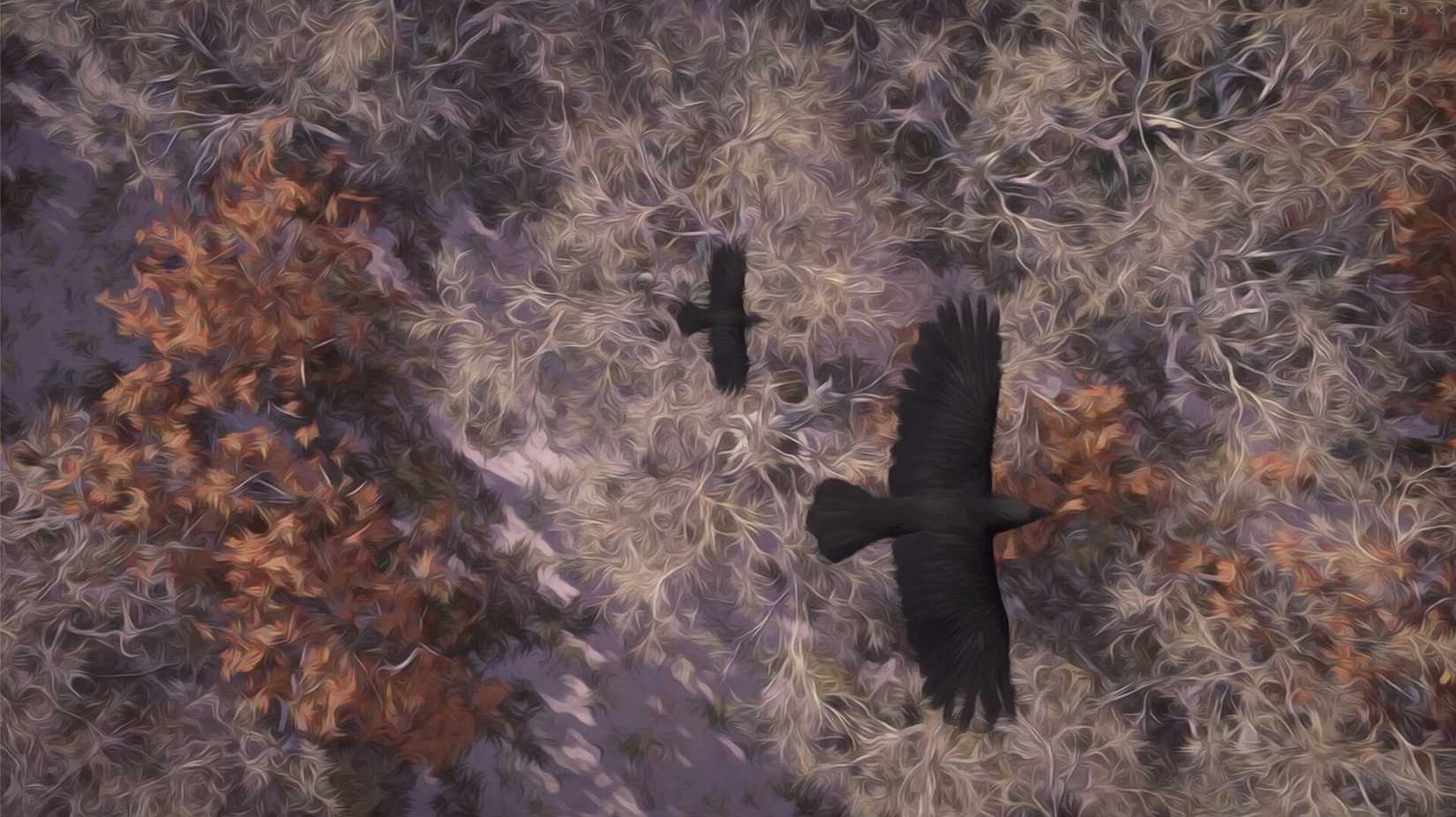 Welsh Crow Inside The Welsh Walking Sim With Assassin’s Creed And Battle Royale ...