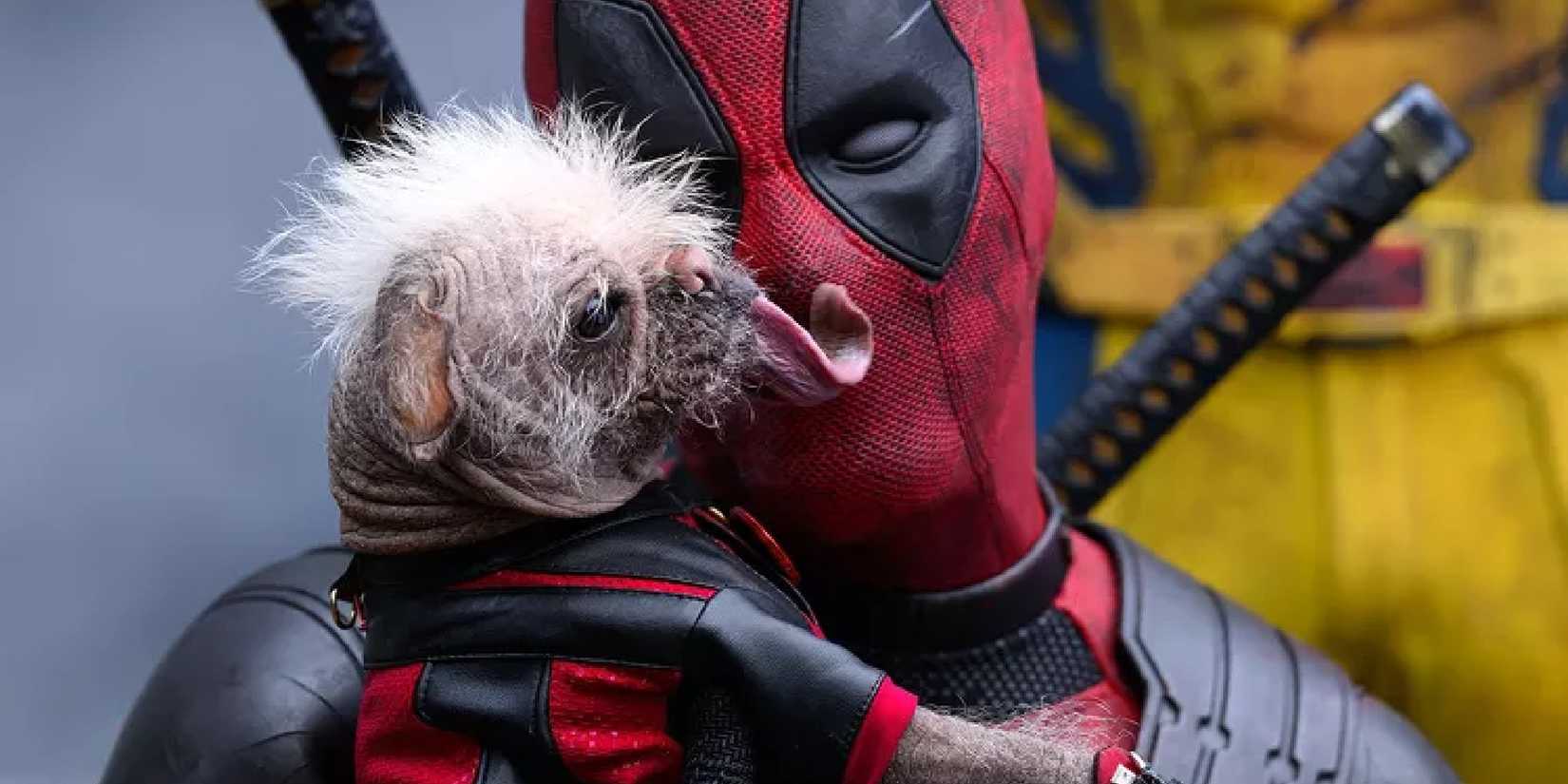 The Best Alternate Deadpools in Deadpool \u0026 Wolverine, image size:1650x825