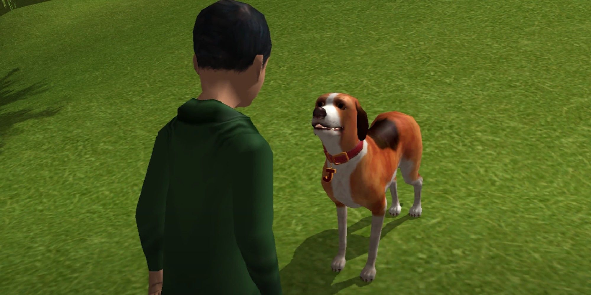 16 Dog Video Games