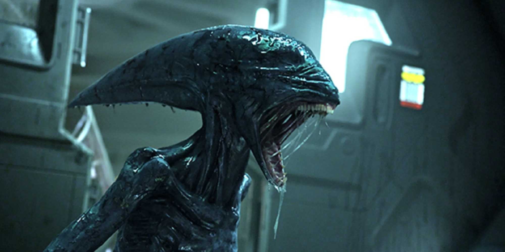Prometheus Connection The Connection Between Alien: Romulus And Prometheus, Explained