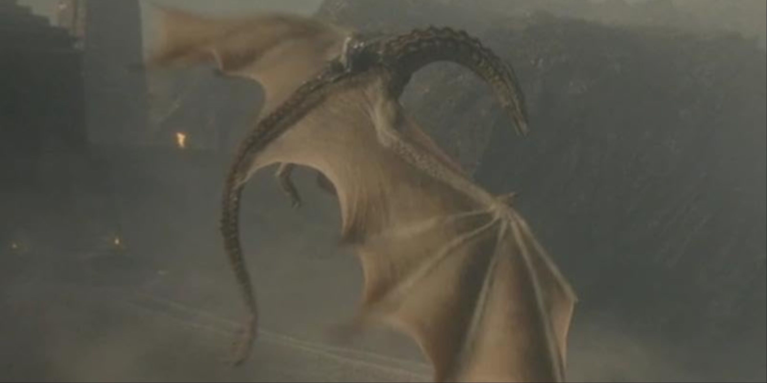 All The Dragons That Appear In Game Of Thrones And House Of The Dragon