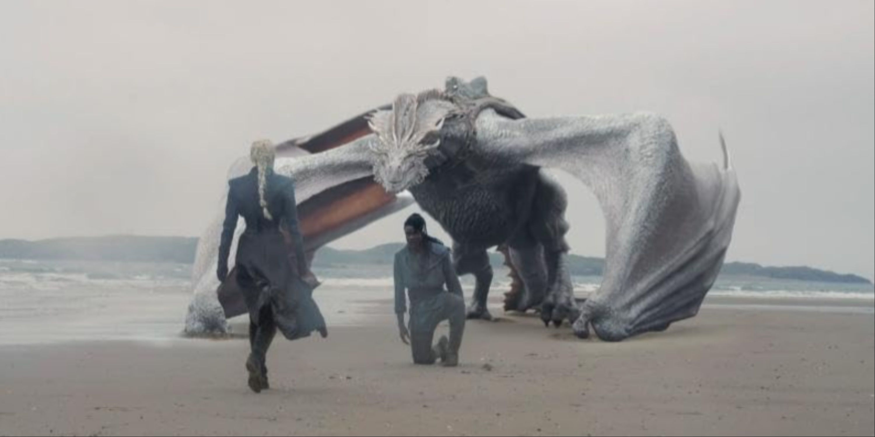 All The Dragons That Appear In Game Of Thrones And House Of The Dragon