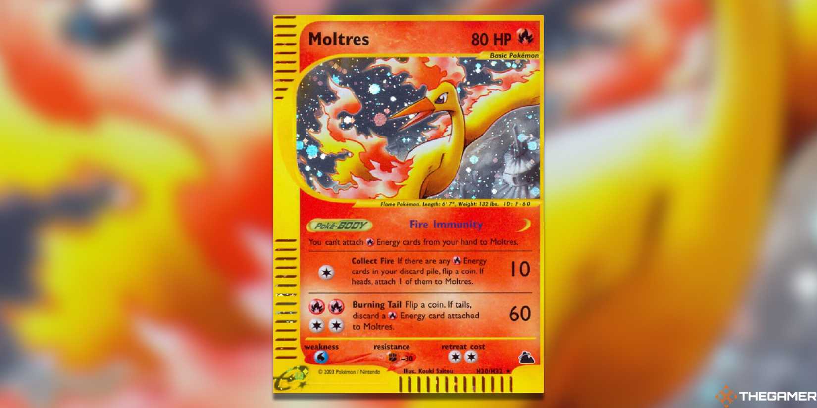 The Most Expensive Moltres Pokemon TCG Cards The Most Expensive Moltres Pokemon TCG Cards