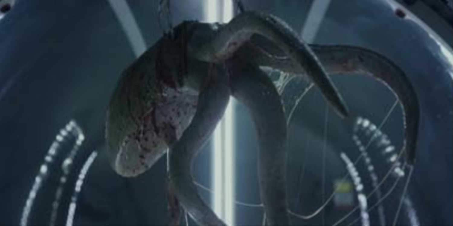 Prometheus Skeleton The Connection Between Alien: Romulus And Prometheus, Explained