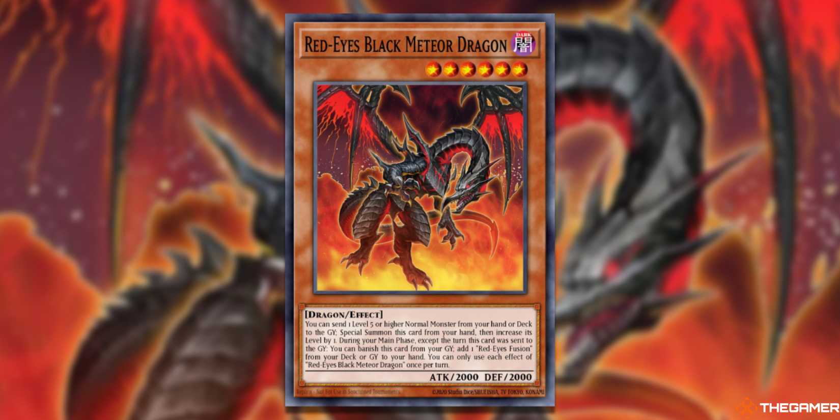 yugioh red eyes support cards YGOrganization