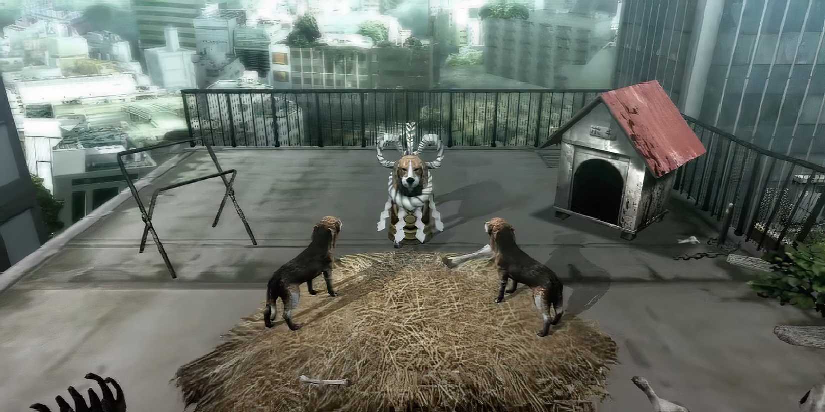 An image of the Tokyo jungle depicting the meeting of three dogs.