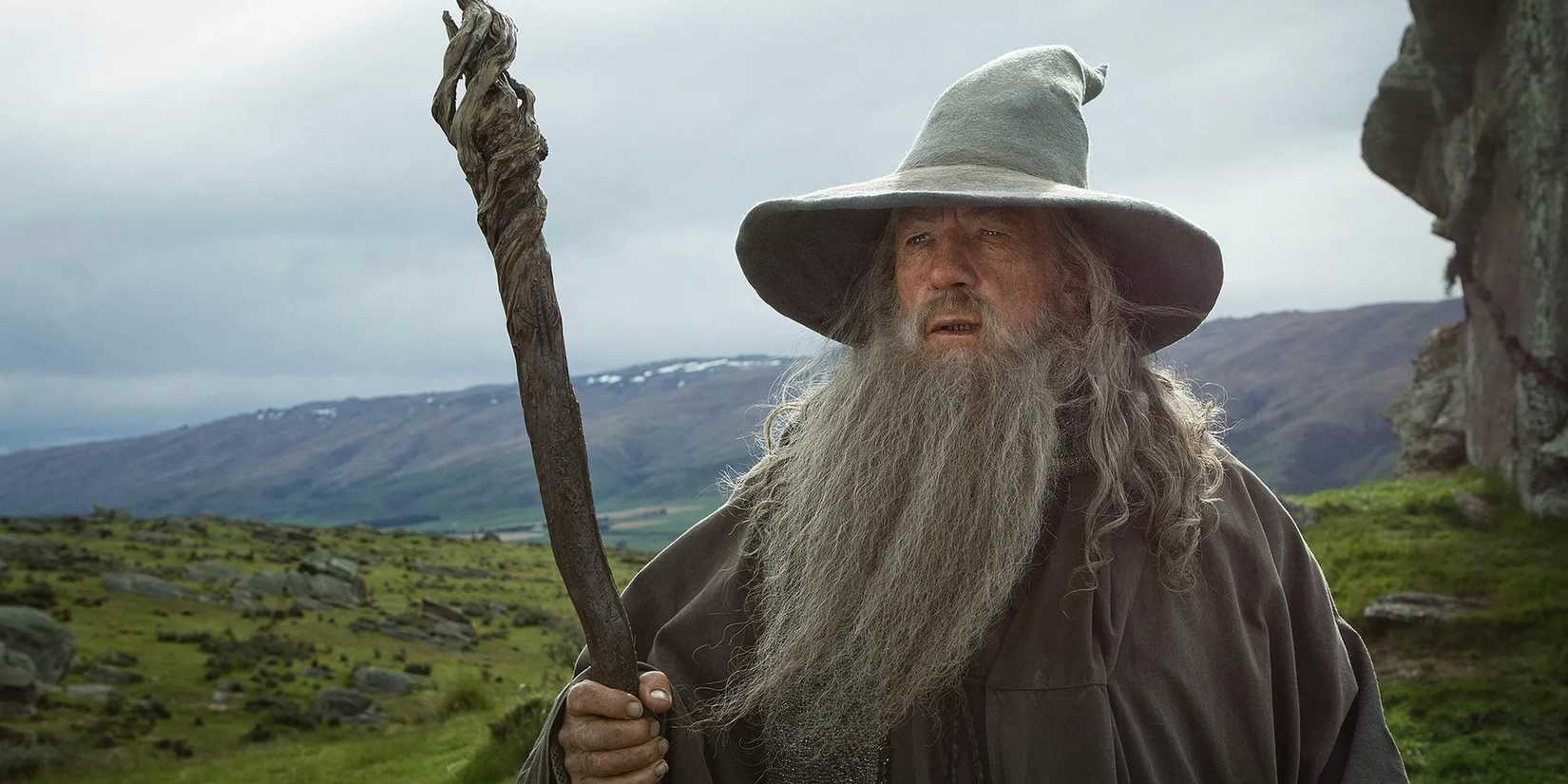 The Lord of the Rings: Gandalf the Gray was played by Ian McKellen.