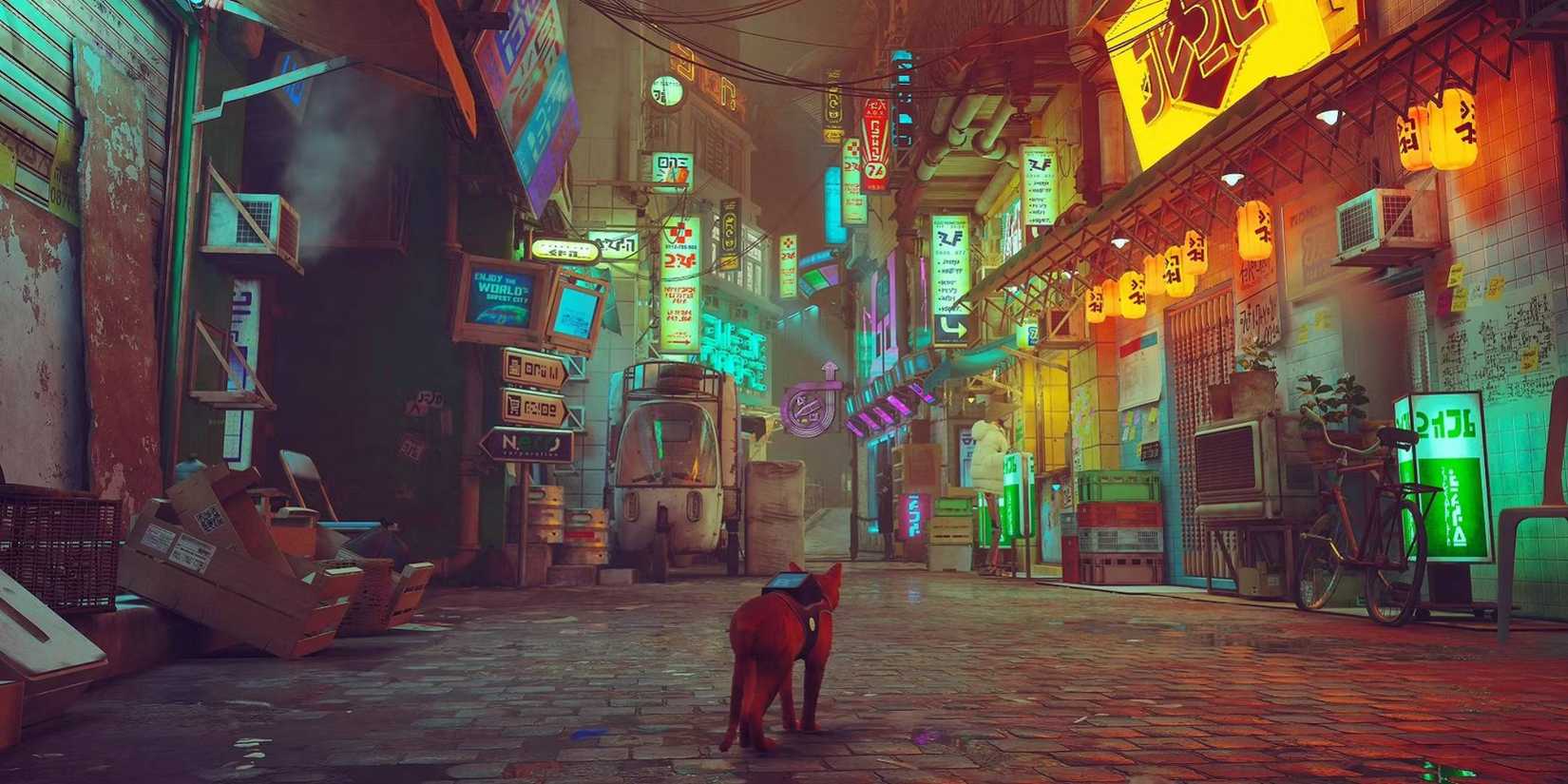 A cat looking at Stray's bright alley.
