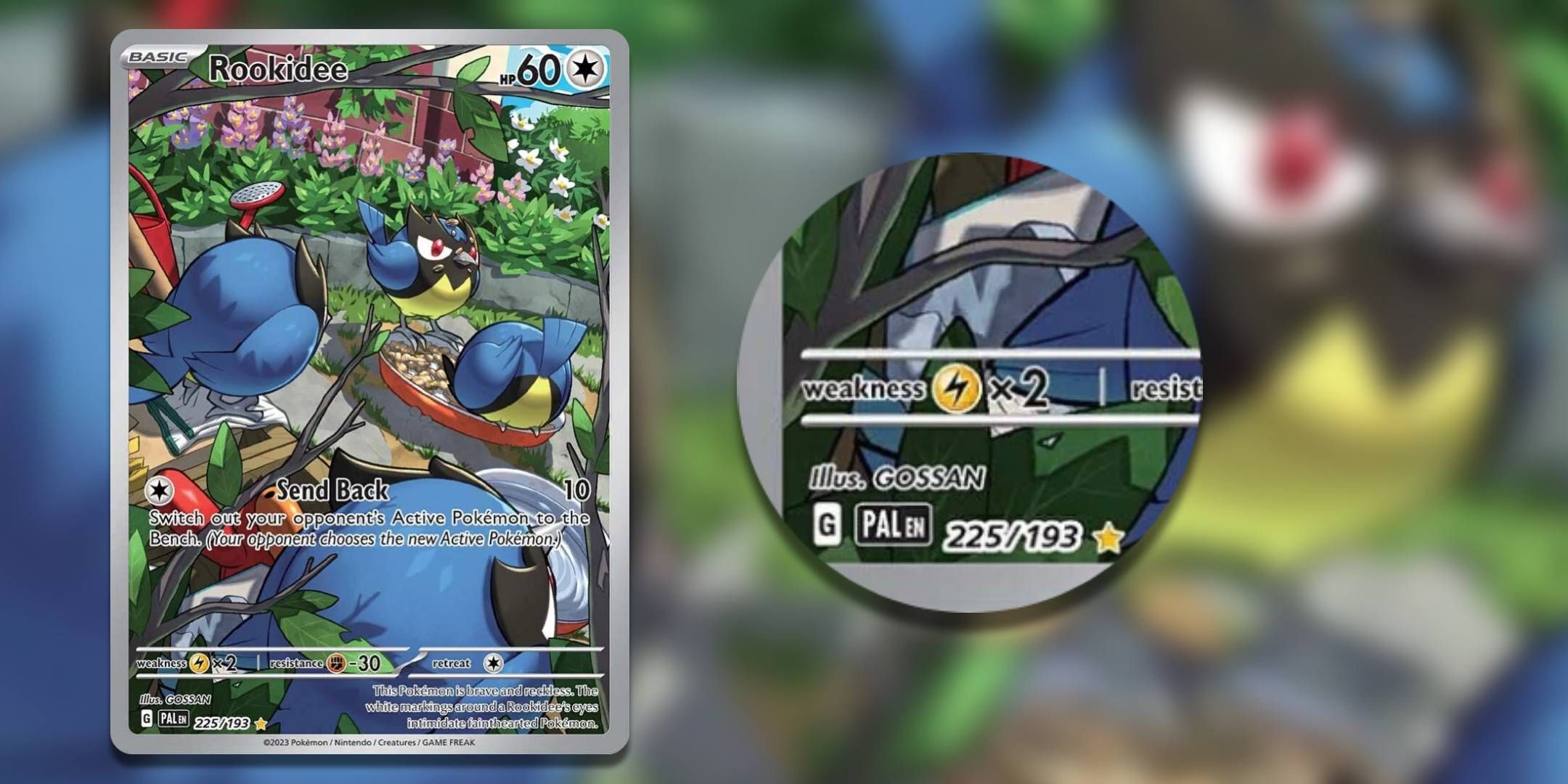 How To Check The Value Of Your Cards In Pokemon TCG