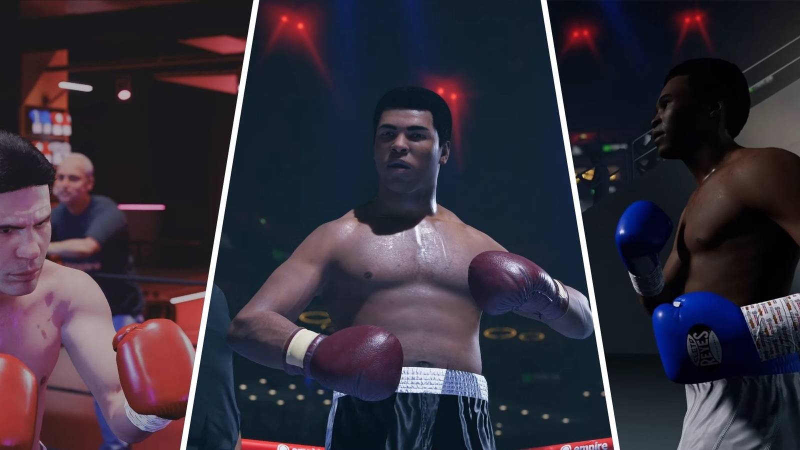 The Best Fighters In Undisputed