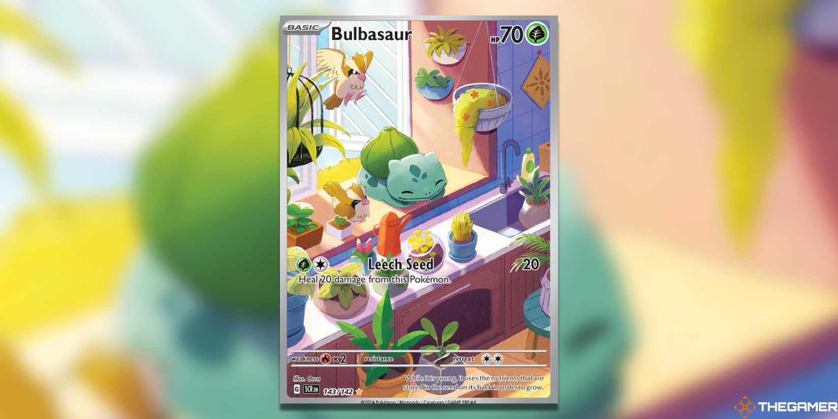 The Most Valuable Bulbasaur Pokemon TCG Cards The Most Valuable Bulbasaur Pokemon TCG Cards