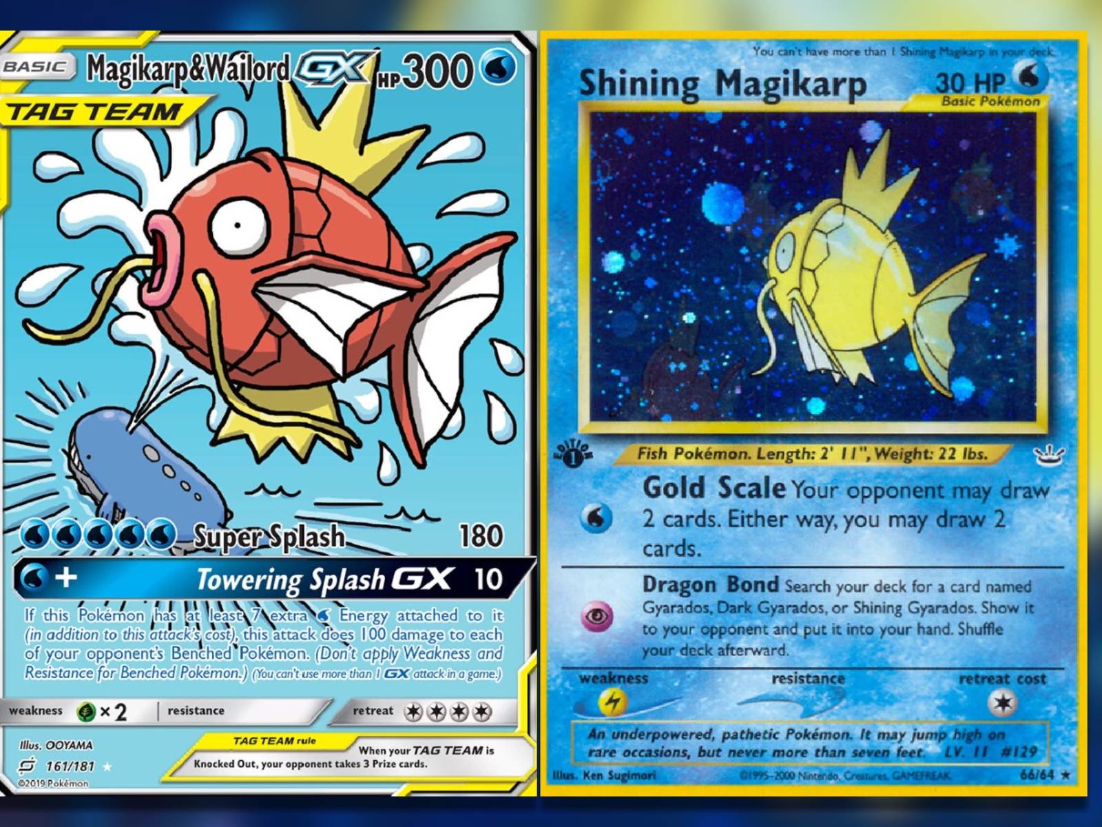 The Most Valuable Magikarp Pokemon TCG Cards, image size:1600x1200