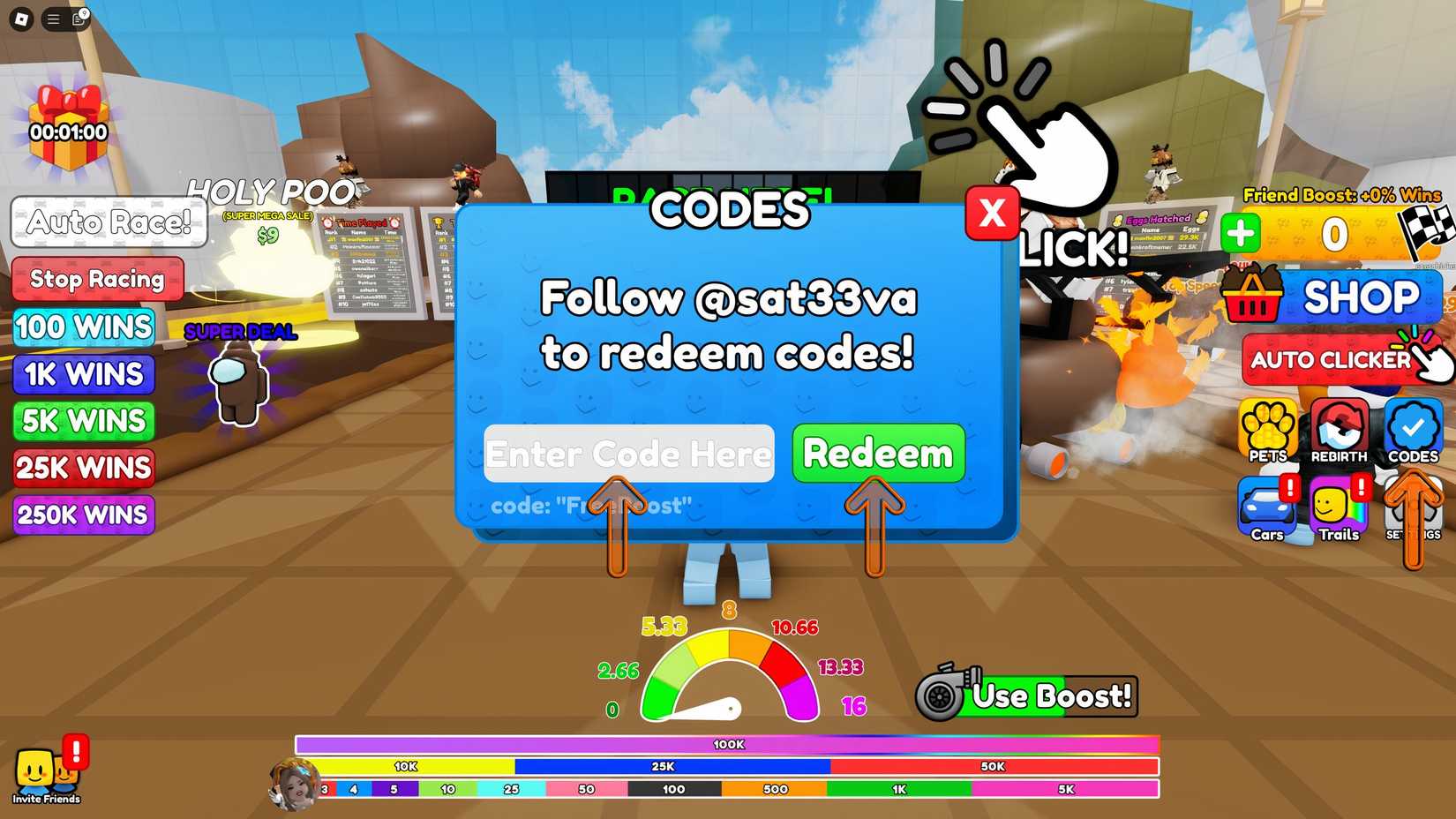 How Do I Redeem Poo Race Codes? thegamerimages.com