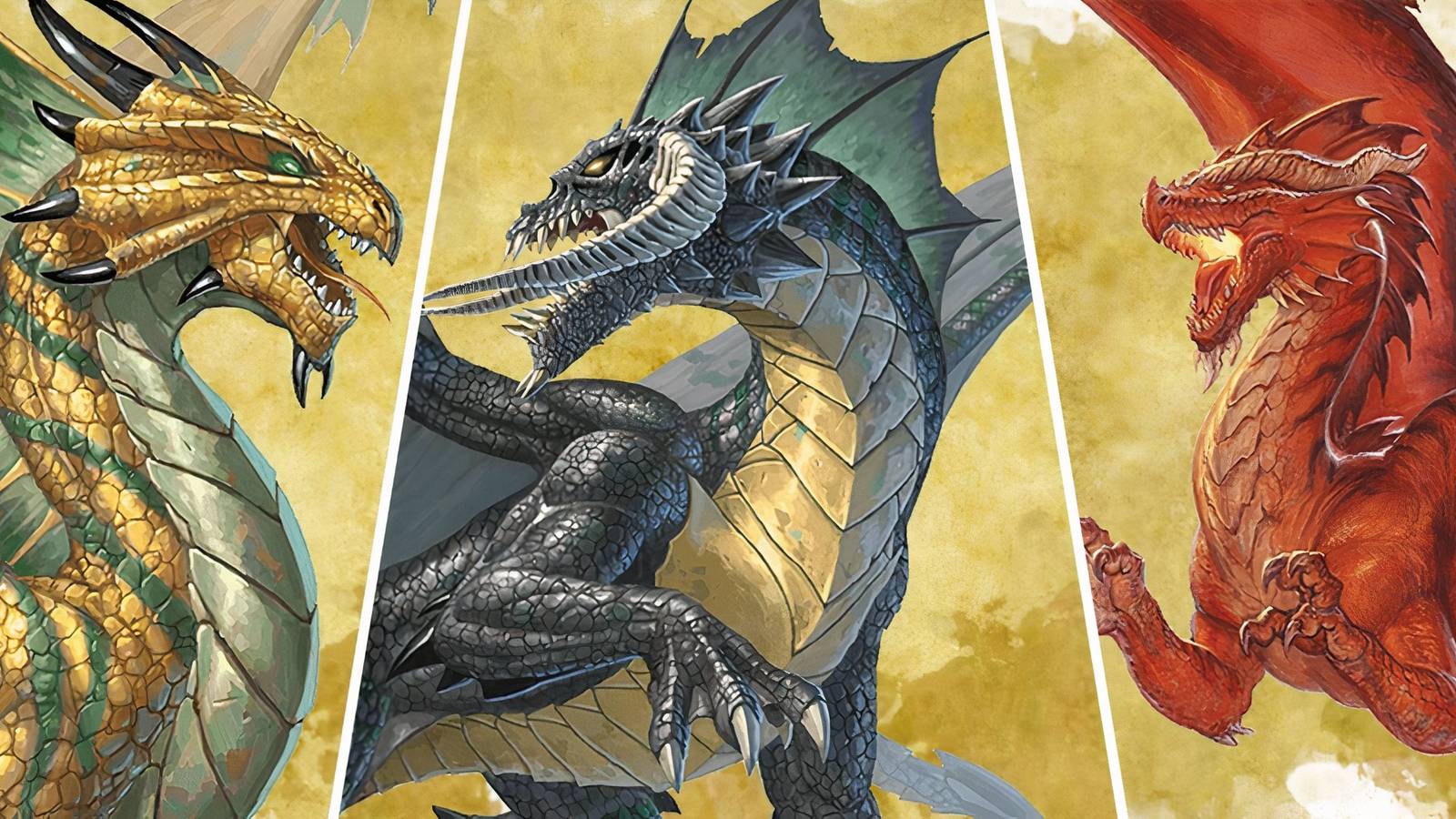 Dargon Color The Meaning Of Every Dragon Color In DND