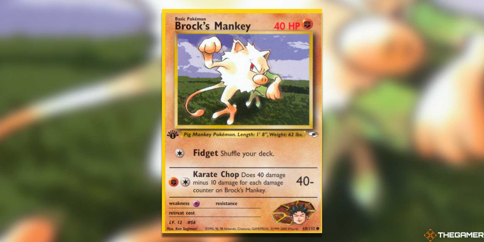 The Most Valuable Mankey Pokemon TCG Cards The Most Valuable Mankey Pokemon TCG Cards
