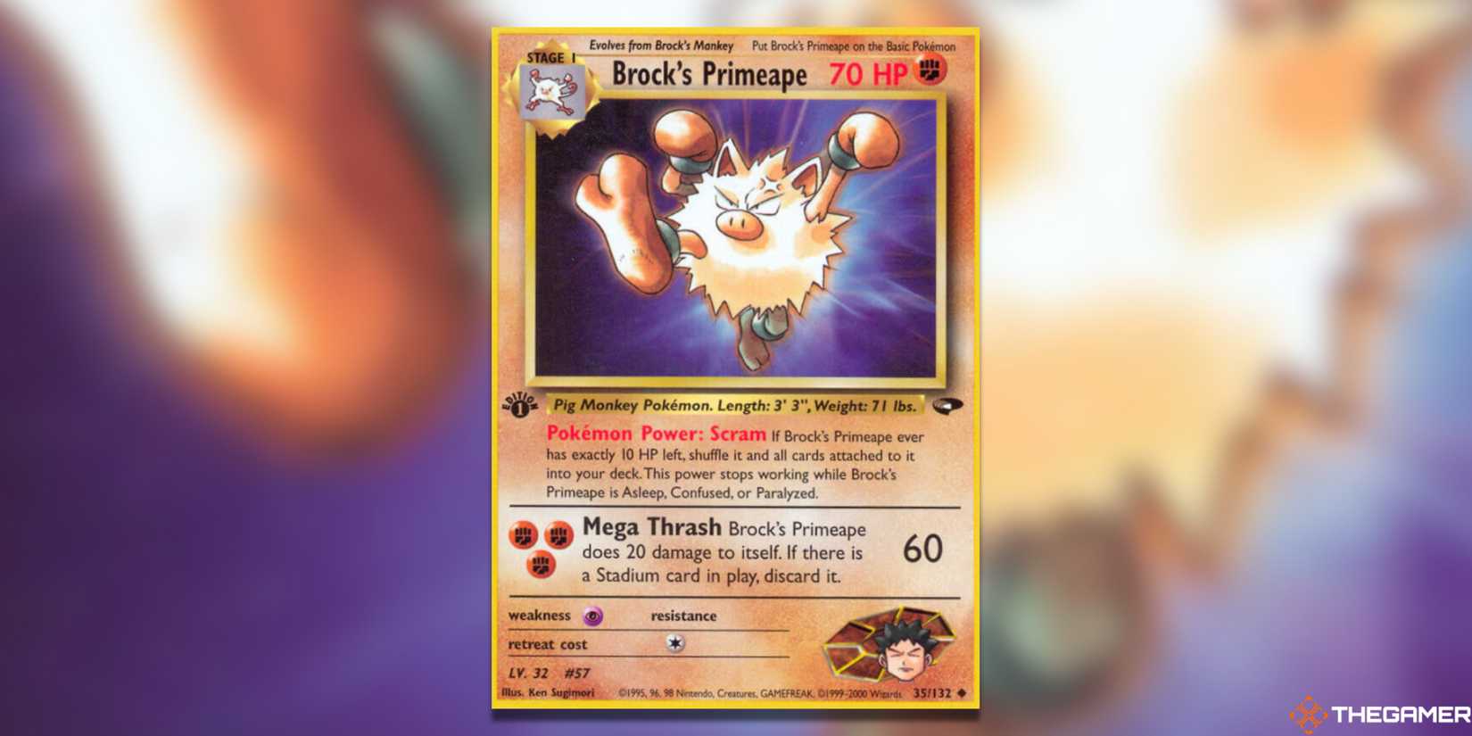 The Most Valuable Primeape Pokemon TCG Cards The Most Valuable Primeape Pokemon TCG Cards