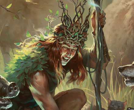 How To Use Polymorph In DND