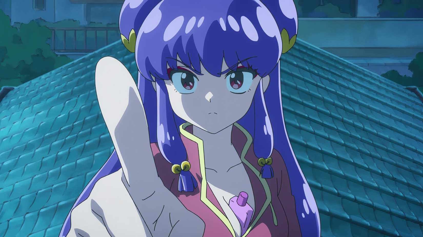 The Best Side Characters In Ranma 1/2