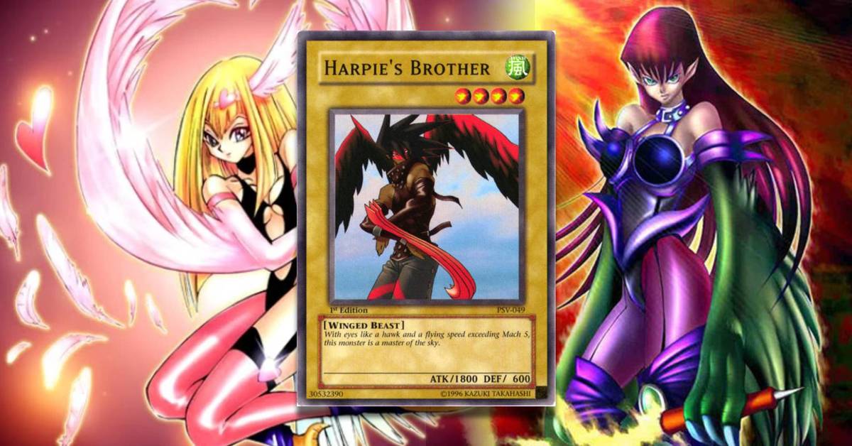 Why Was Harpie's Brother Renamed Sky Scout? - Yu-Gi-Oh! Why Was Harpie's Brother Renamed Sky Scout? - Yu-Gi-Oh!