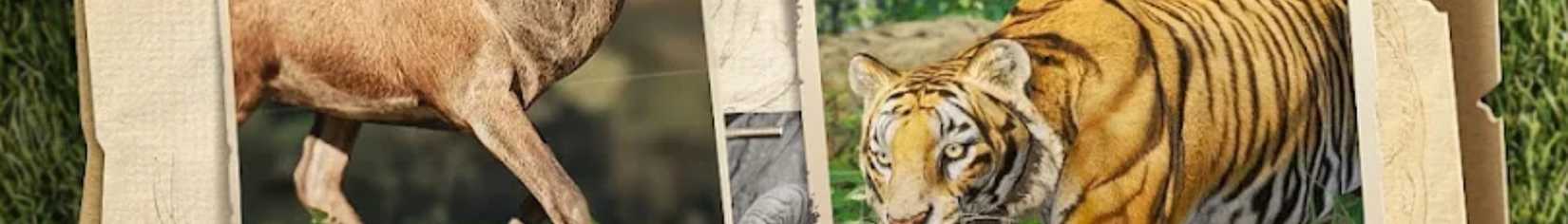 Hunting Sniper Codes