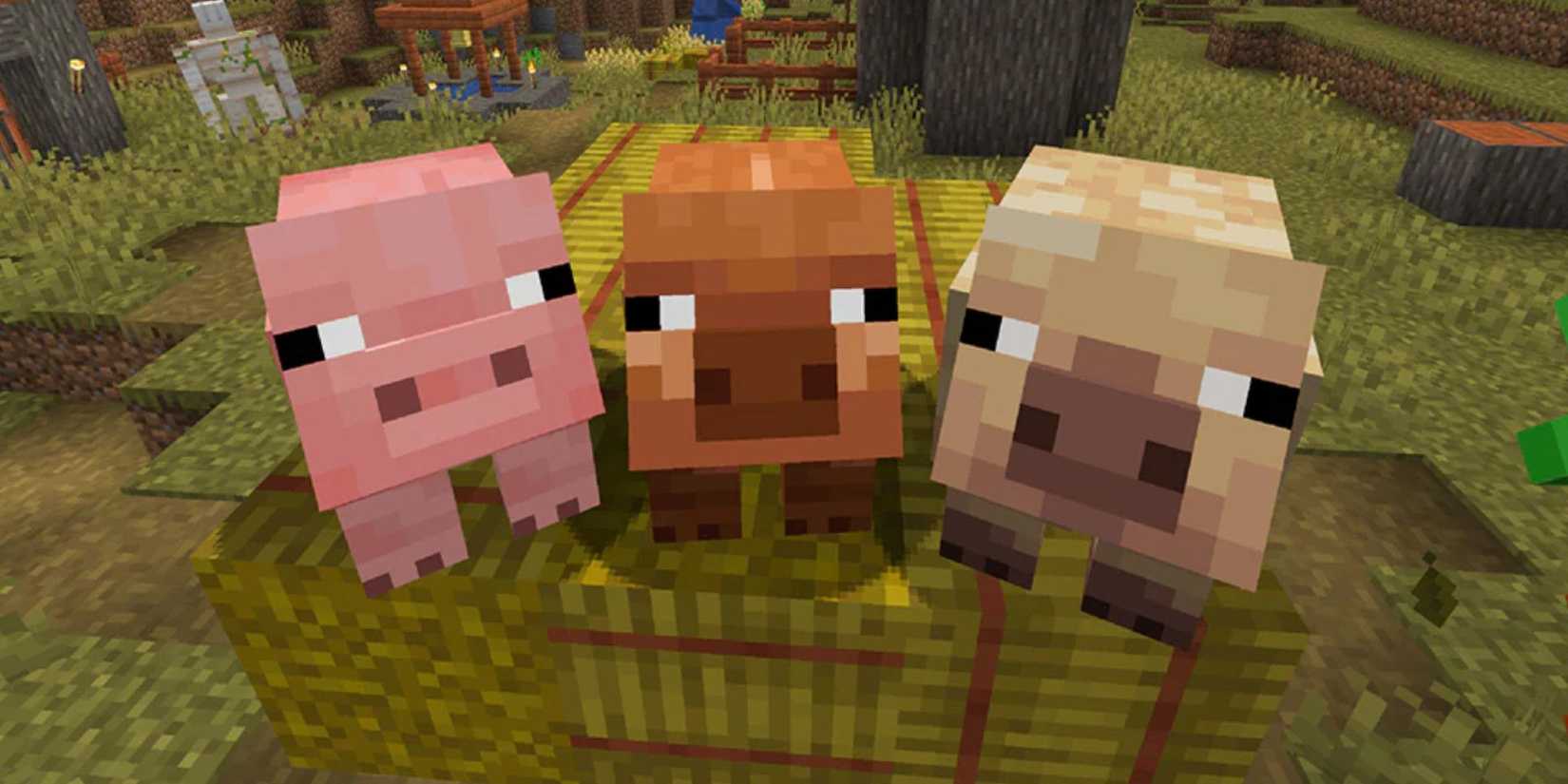 Pig Building Java