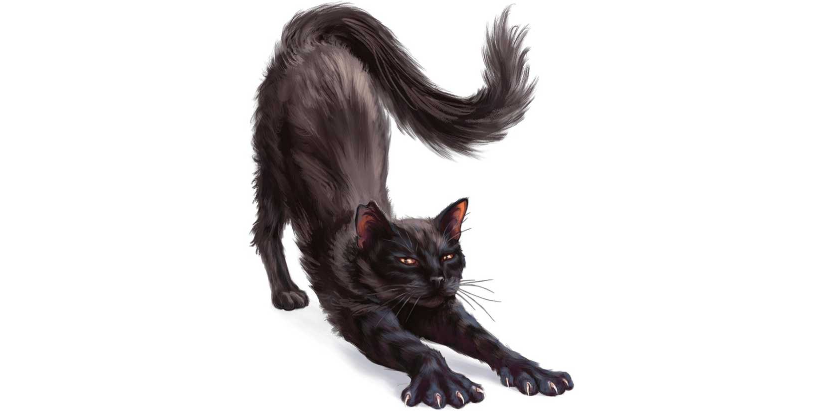 Dungeons & Dragons image showing a cat.
