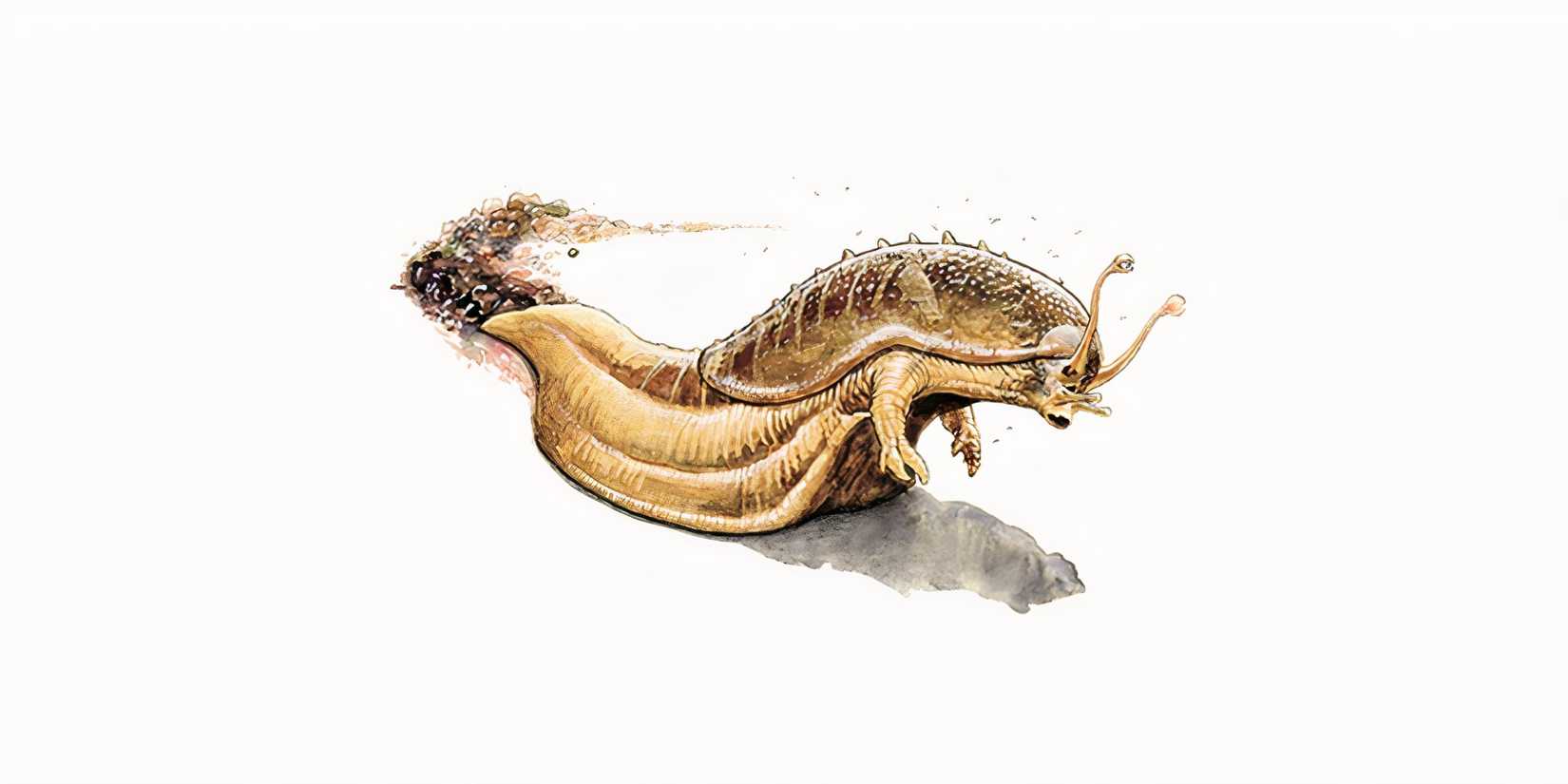 The Most Powerful Devils In DnD