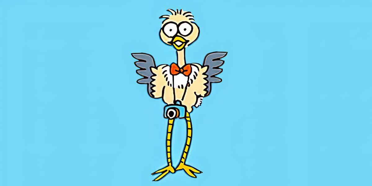 Best Sanrio Birds