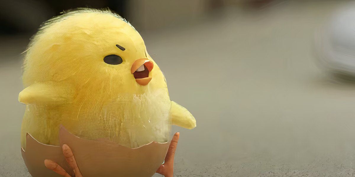 Best Sanrio Birds