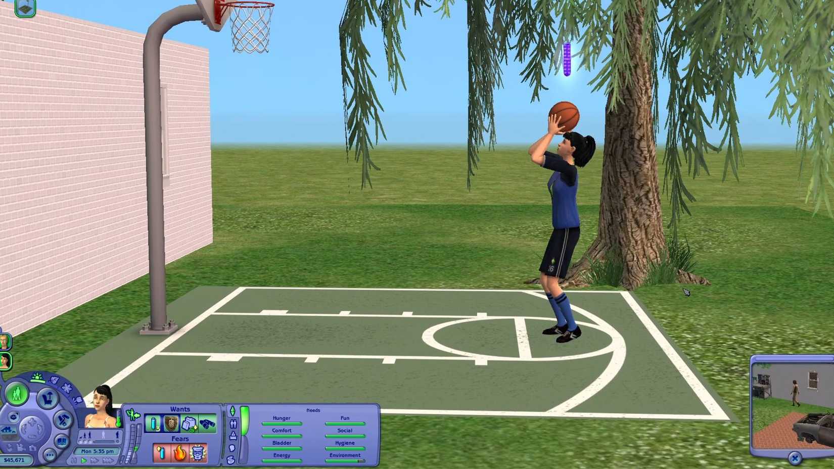 What Are The Benefits Of Raising The Body Skill In The Sims 2