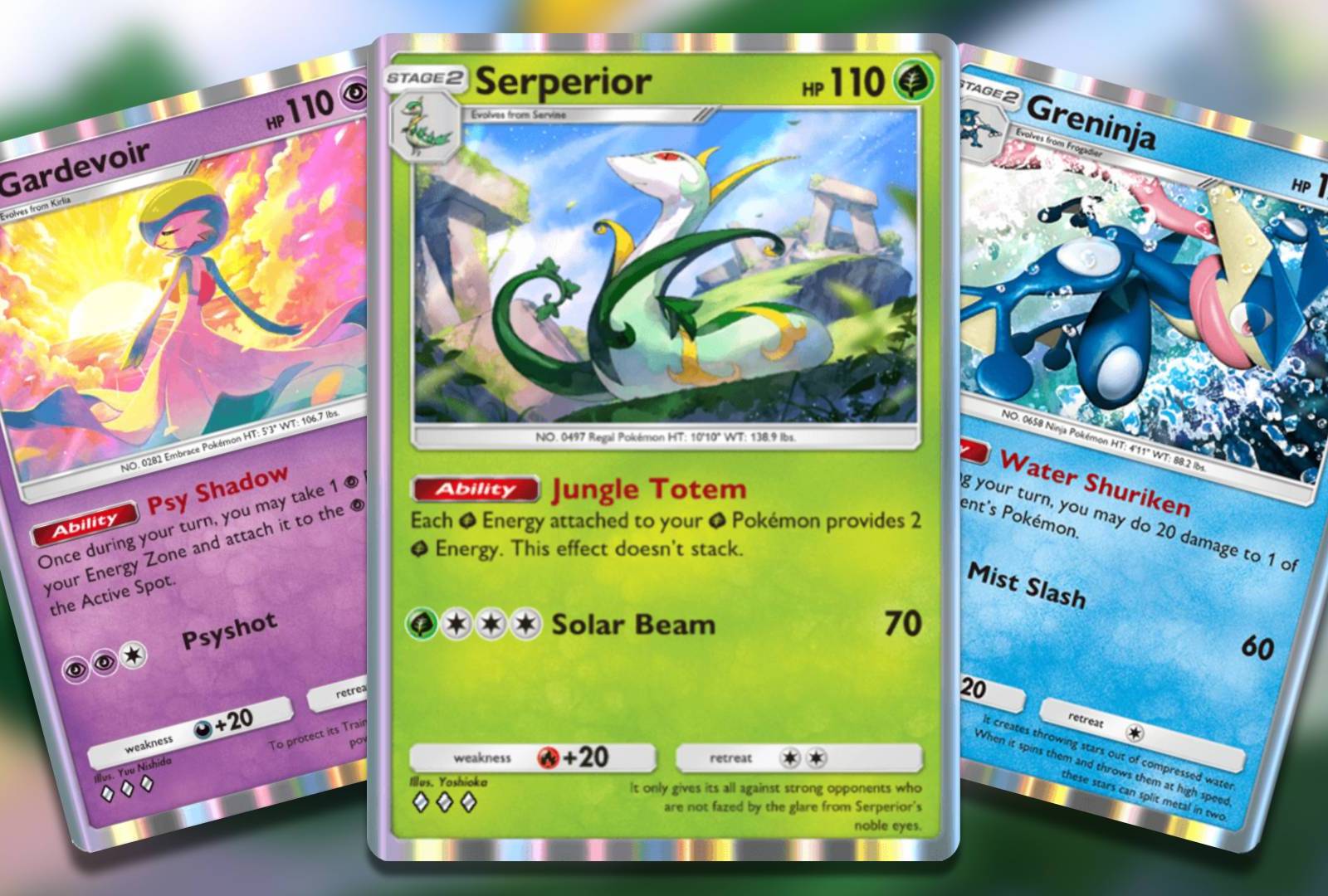pokemon split cards v-399 Politoed Card Japanese 031/088 Earth e Series  Spoon TCG The Best Rare Cards In