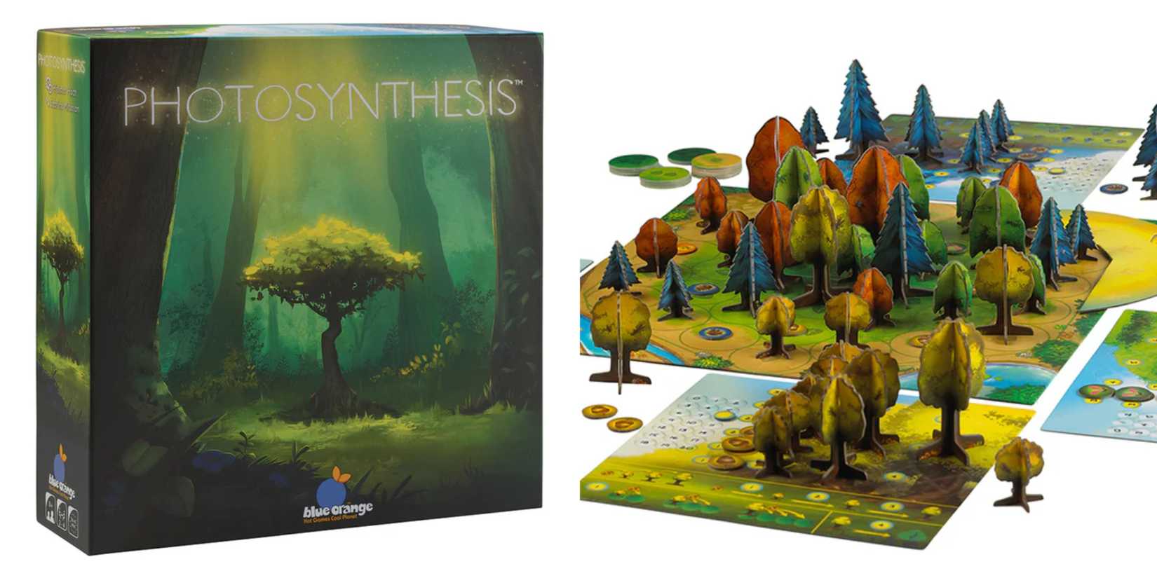 10 Best Board Games From Outset