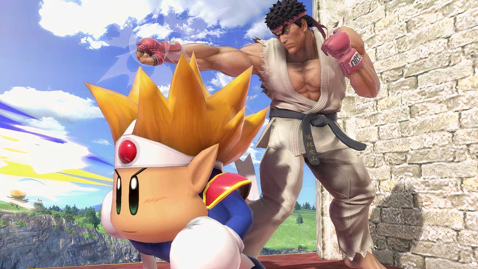 We Want To See These Characters In Kirby Air Riders