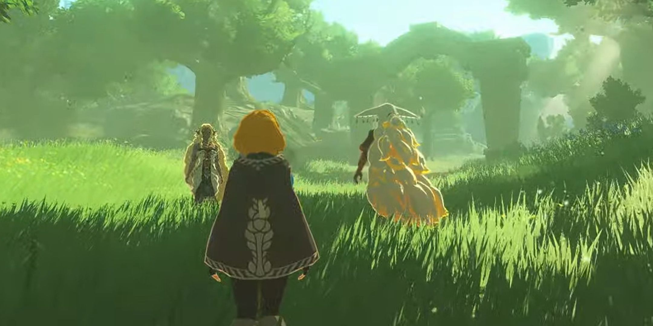 Zelda standing in a field.