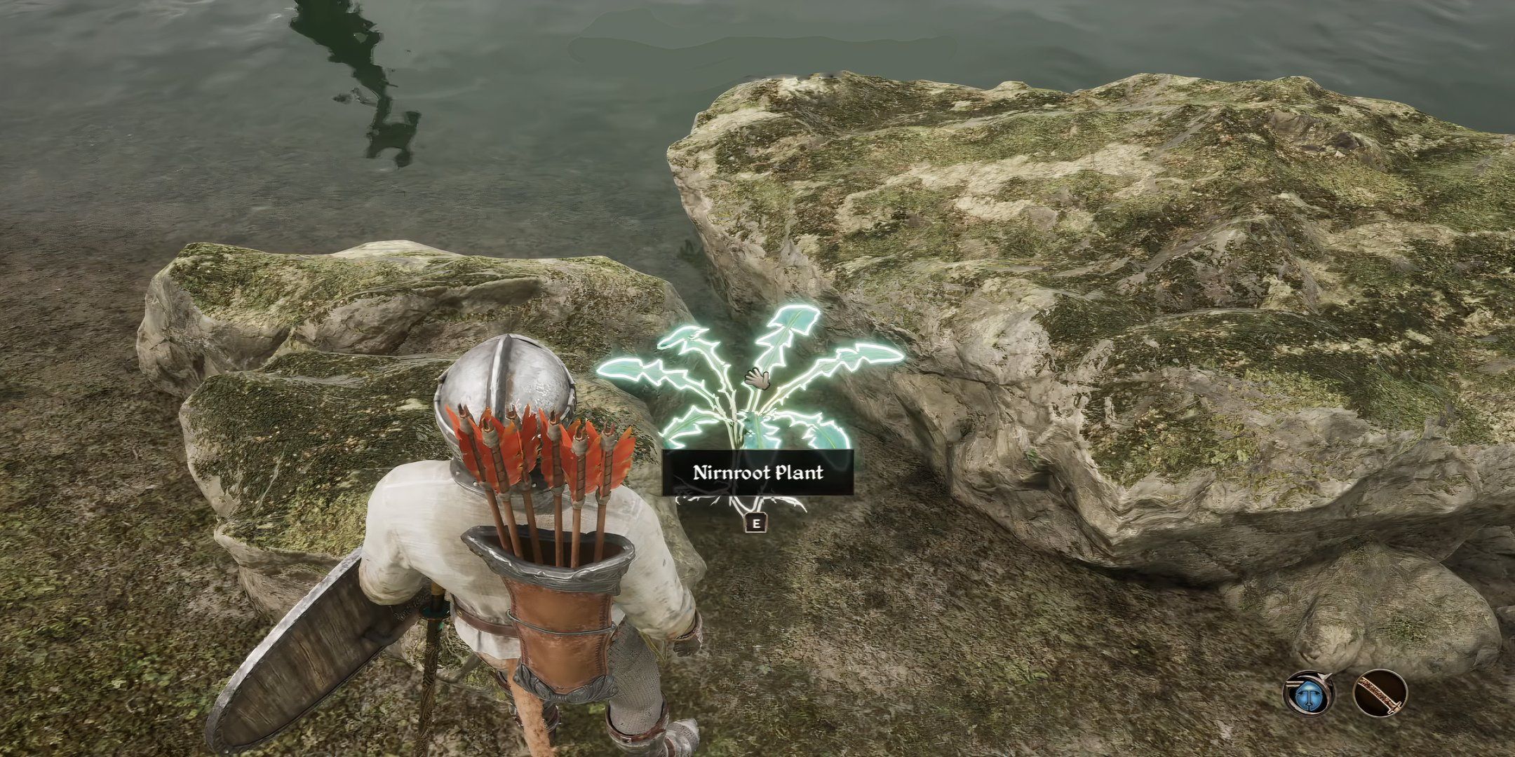character finding nirnroot in oblivion.
