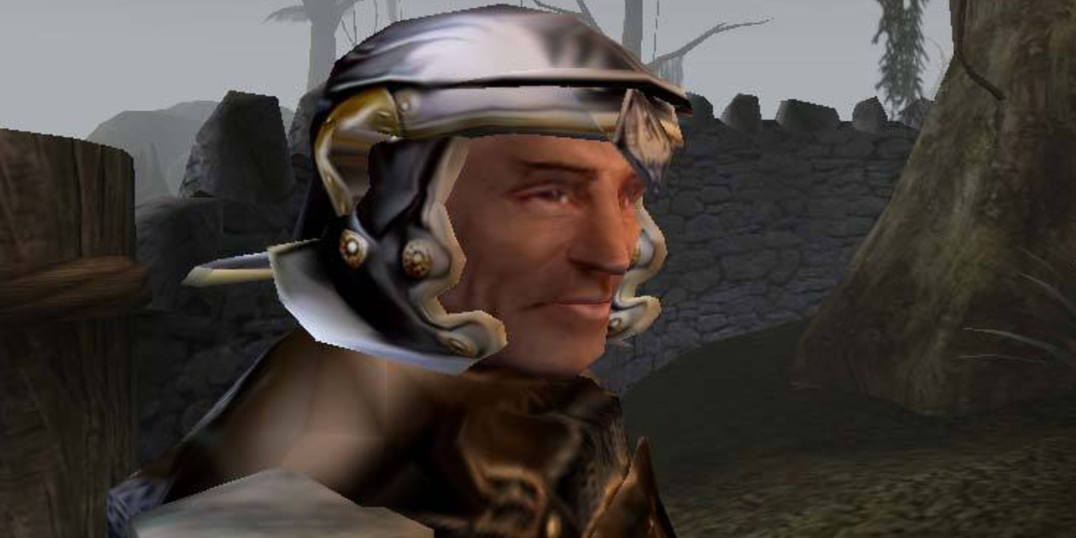 Morrowind Man Looking Sideways