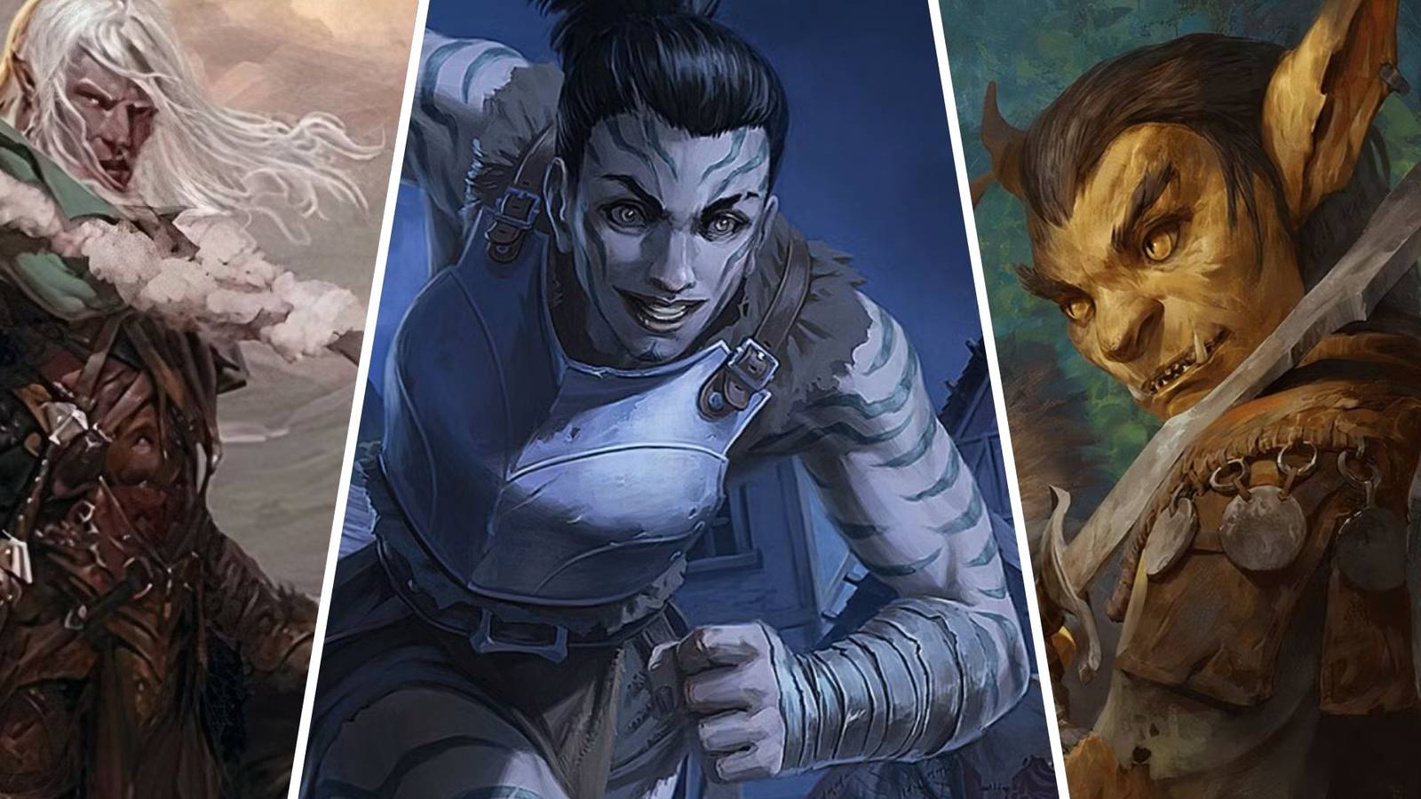 Try Playing A DnD Ranger With One Of These Race Options Next Time