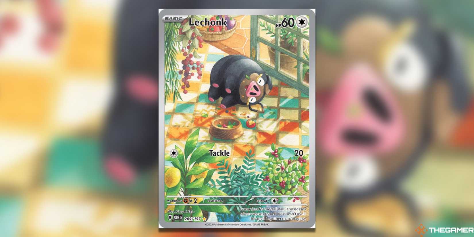 The Best Pokemon Cards To Buy On A Budget In The Pokemon TCG The Best Pokemon Cards To Buy On A Budget In The Pokemon TCG