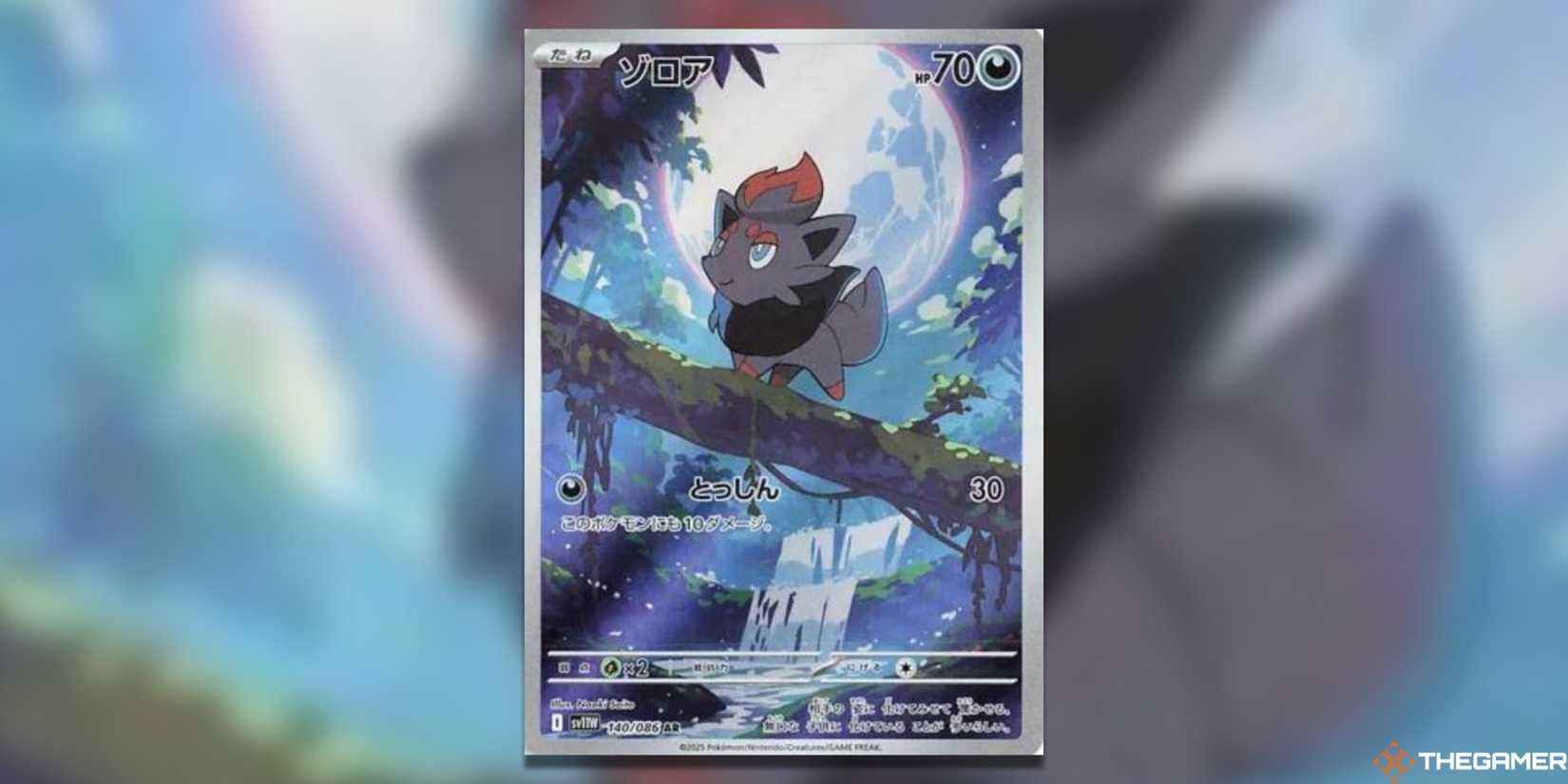 The Most Expensive Japanese White Flare Cards In The Pokemon TCG The Most Expensive Japanese White Flare Cards In The Pokemon TCG