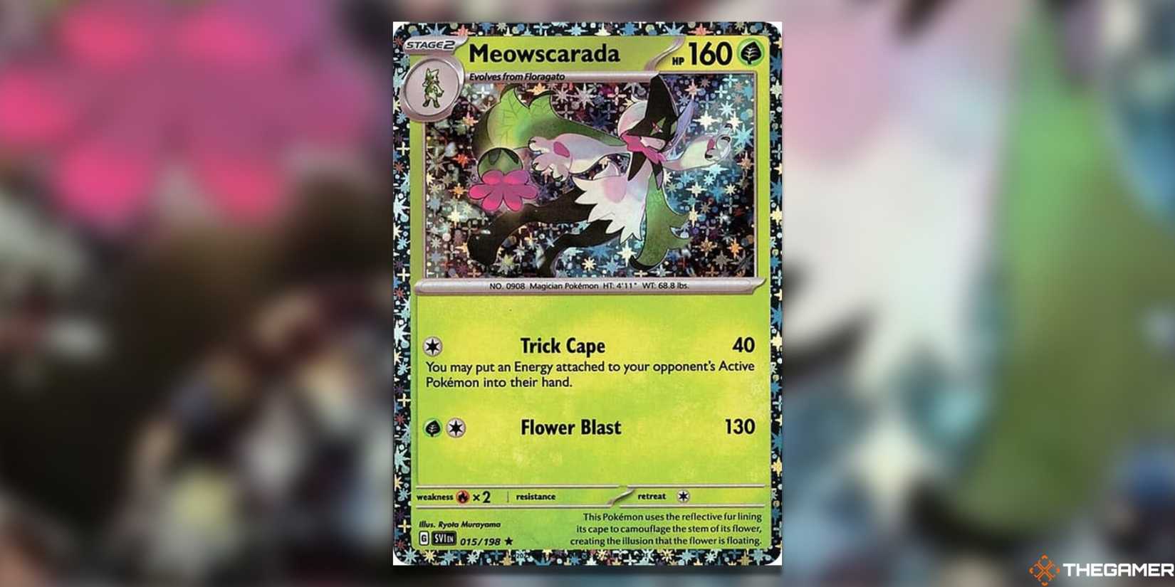 3rd edition pokemon cards Amazon.com: Pokemon TCG: 3 Booster Packs & 1 Random Foil