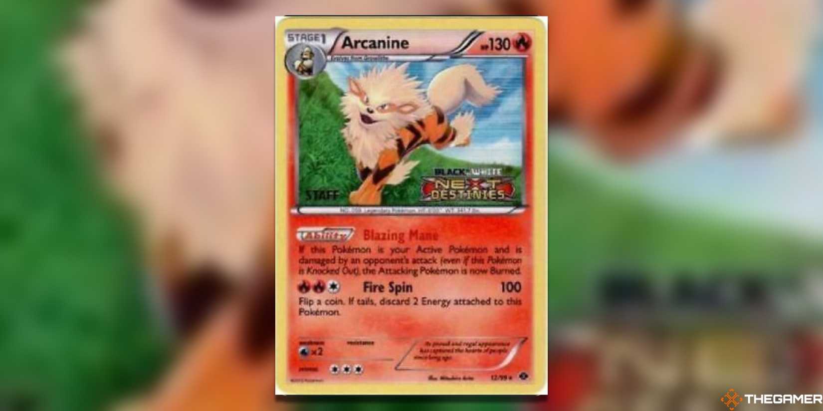 The Most Expensive Prerelease Cards In The Pokemon TCG The Most Expensive Prerelease Cards In The Pokemon TCG