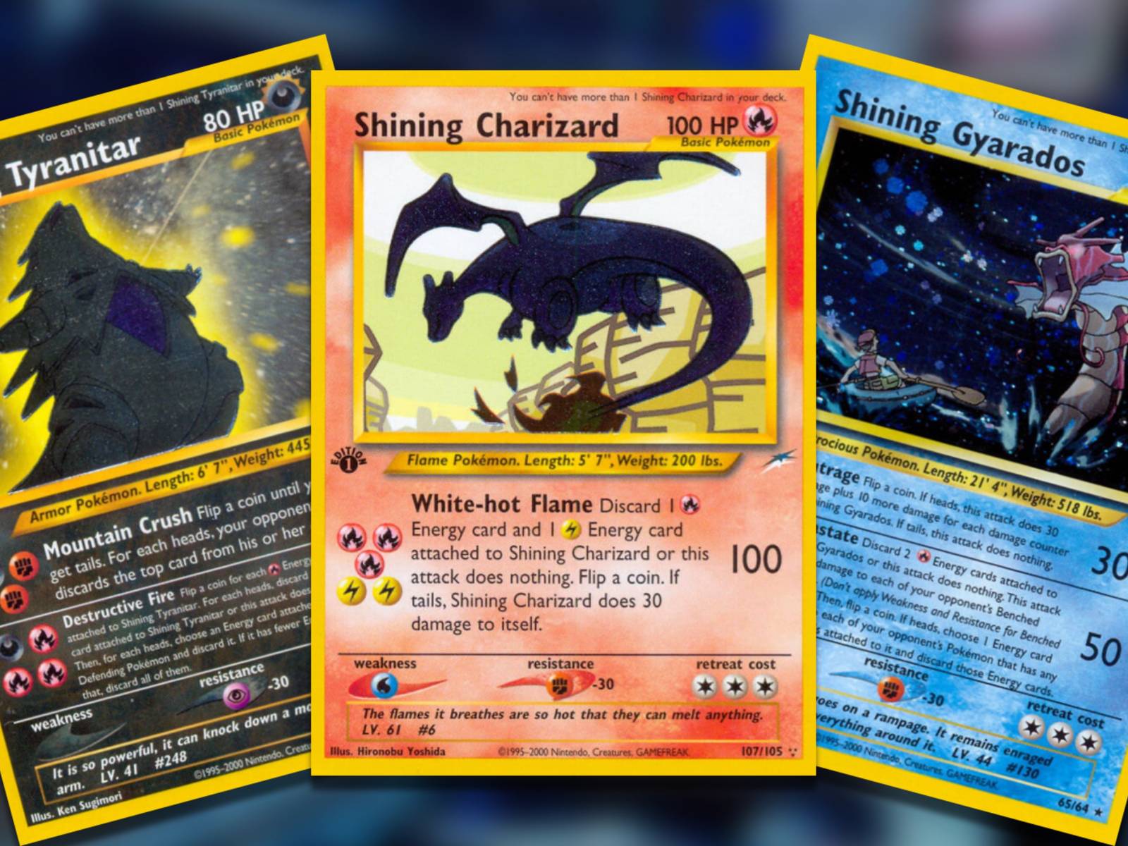 pokemon 1000 cards TopDeck 1000 Card Portfolio