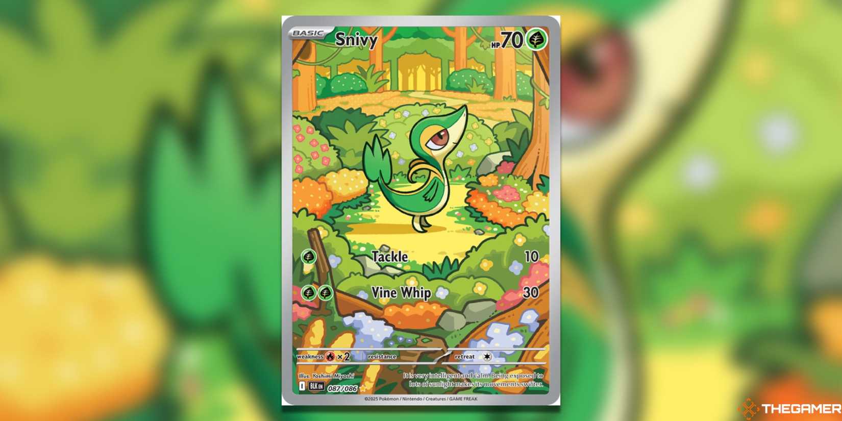 rare arcanine pokemon card Pokémon TCG: Black Bolt & White Flare Unova Mini Tin – TCG NASIAN main image 1