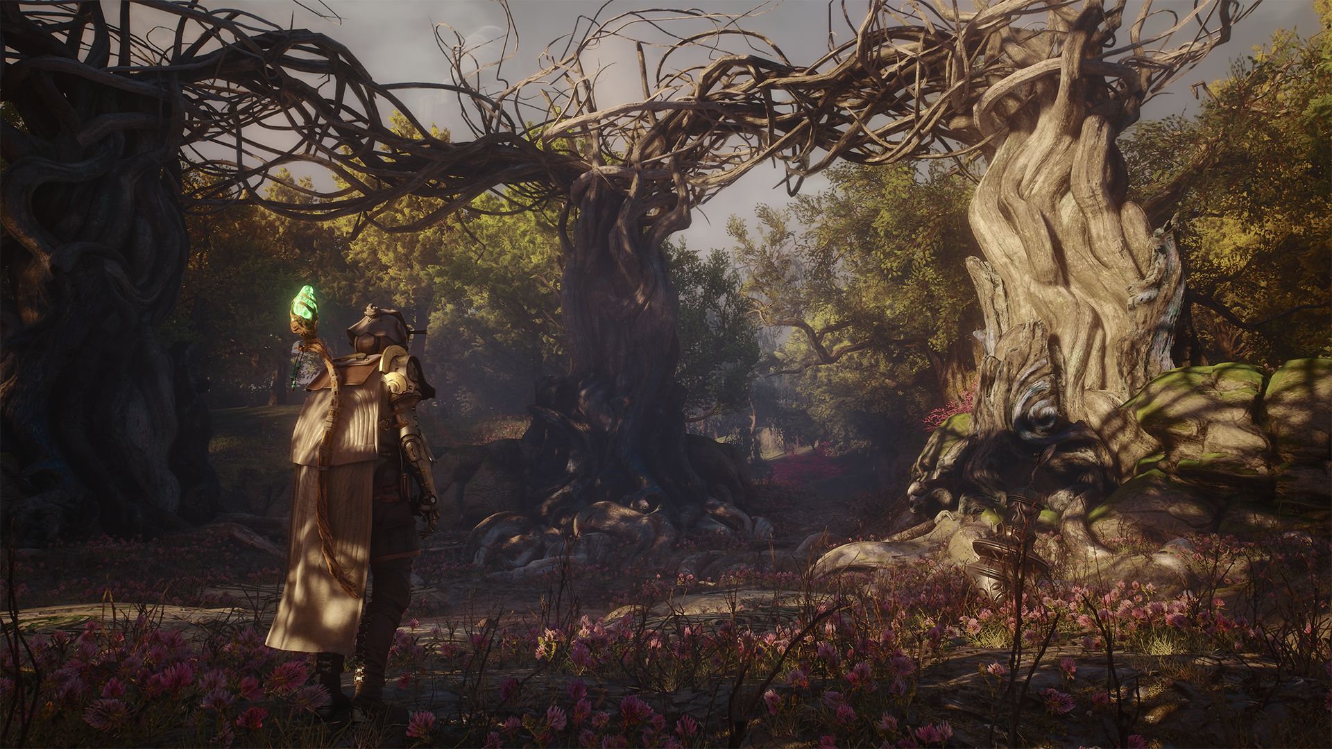 The Envoy standing alone in the Wevetwood in Soulframe.