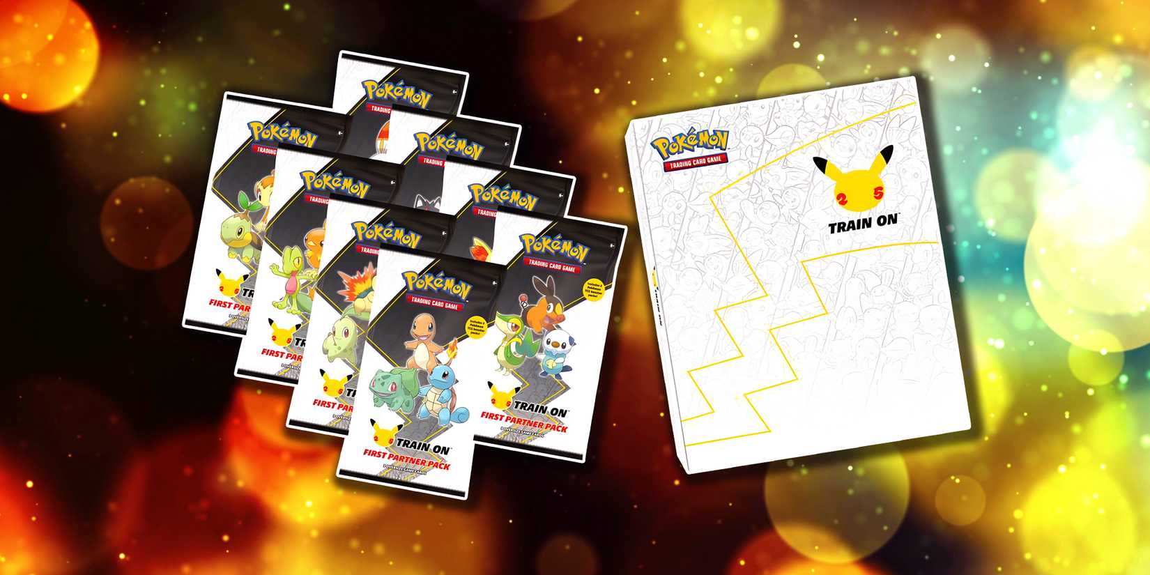 The Most Valuable Binder Collections In The Pokemon TCG