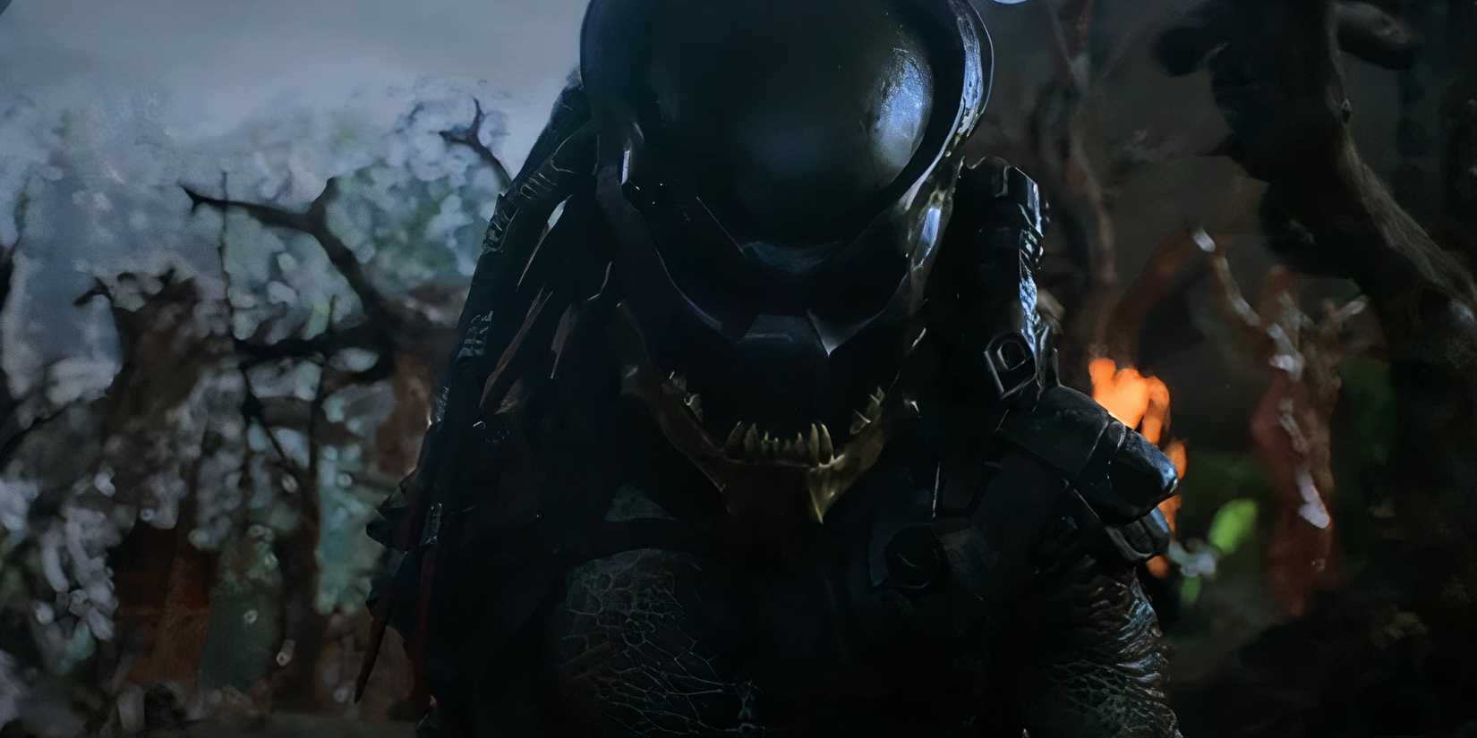 The Best Predator Designs In All The Main Predator Movis
