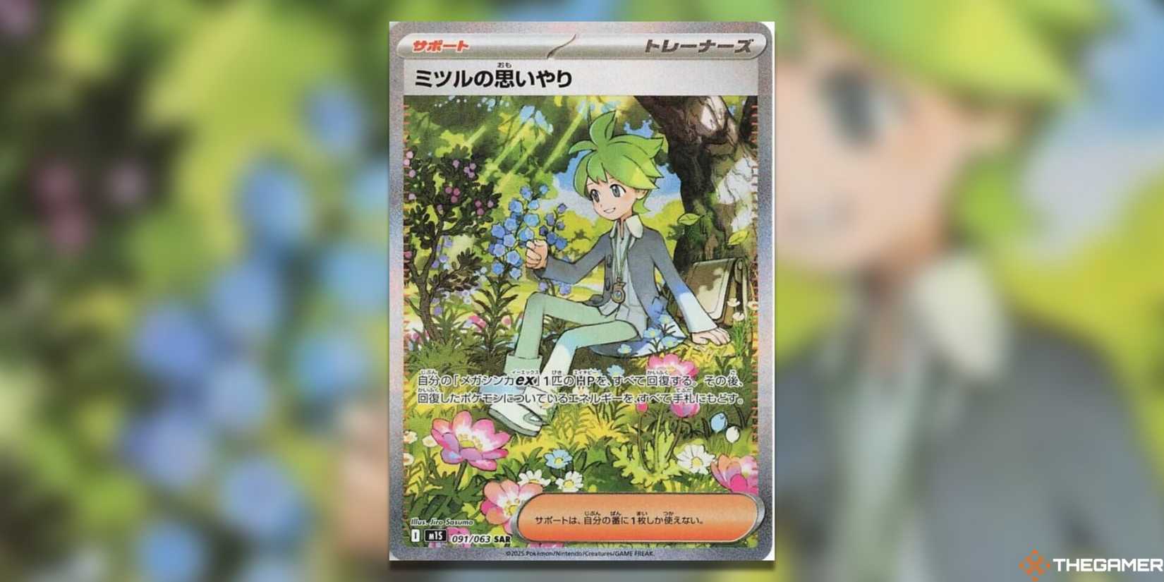 wally card pokemon Wally 107/108 XY Roaring Skies Full Art Pokemon Card Near Mint
