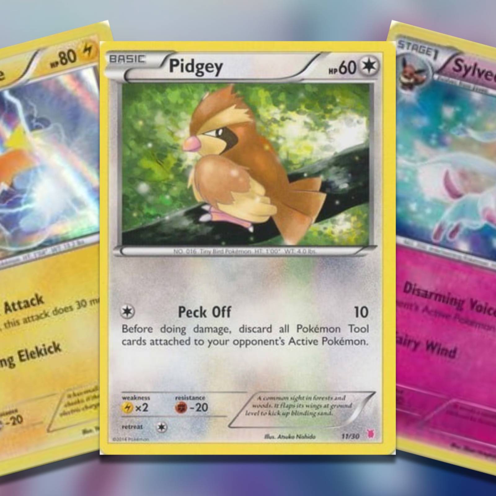 list of cute pokemon cards My 25 Favorite Pokemon Illustration Cards